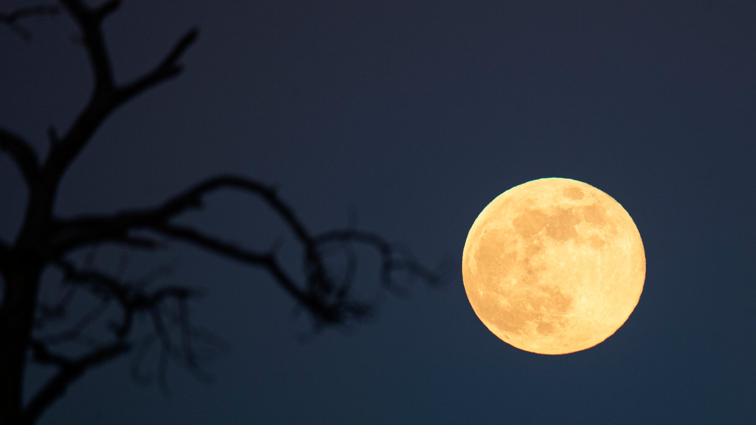 The full moon rises over east Fort Myers, FL on Friday, Nov. 15, 2024. It is called the Beaver Moon.