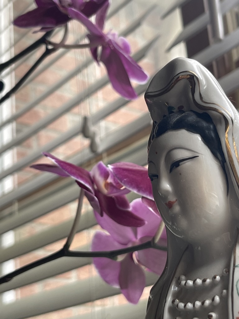 The face of a porcelain representation of Quan Thế Âm Bồ Tát (Avalokitesvara Bodhisattva), with fuschia orchid blossoms in the background and light entereing the white miniblinds.
