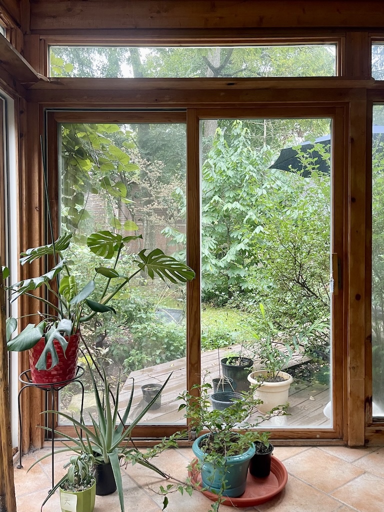 what the author sees when he is practicing meditation: lush greenery outside behind two glass panels, with houseplants on a tile floor on this side of the glass