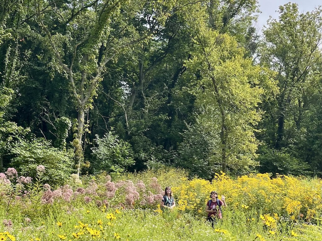 Two people walking in a lush meadow of flowers. Tall green trees stand tall in the background. It is late summer, almost noon.